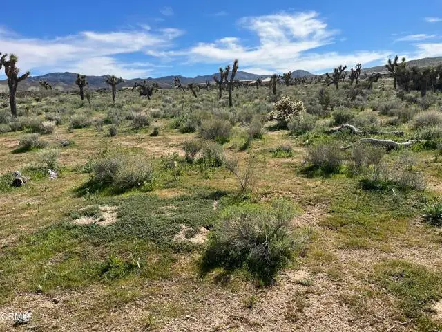 0 Bowen Ranch Road, Apple Valley, CA 92308 - #2