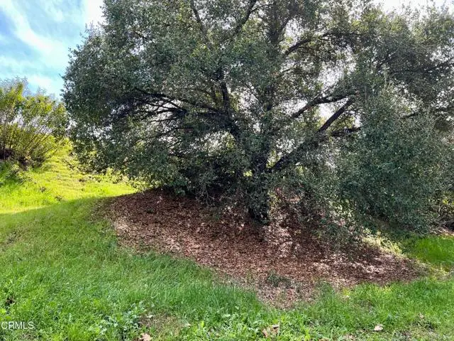 190 Sycamore Lane, Duarte, CA 91008 - #2