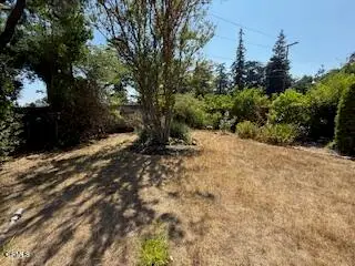 591 Alameda Street, Altadena, CA 91001 - #3