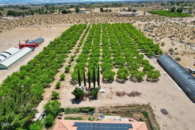 9975 Custer Avenue, Lucerne Valley, CA 92356 - #2
