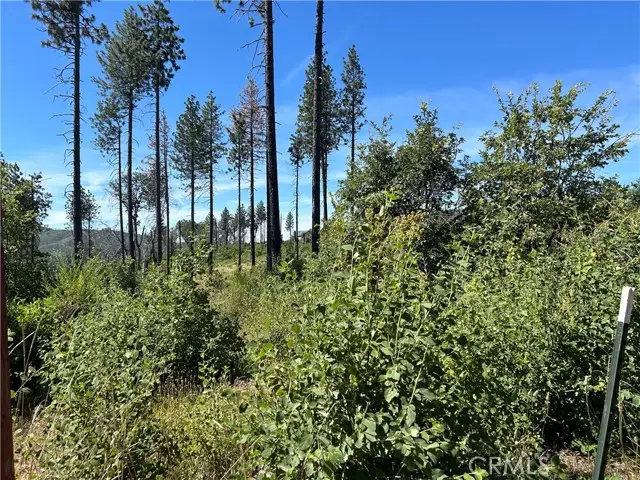 3520 Hoffman Road, Oroville, CA 95965 - #3