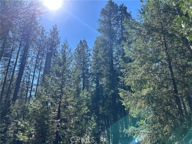 0 coutelenc, Magalia, CA 95954 - #2