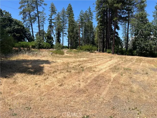 9128 Skyway, Paradise, CA 95969 - #1