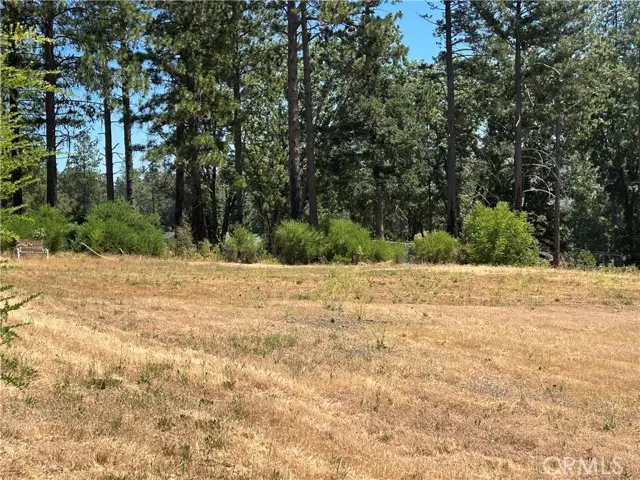 9128 Skyway, Paradise, CA 95969 - #3