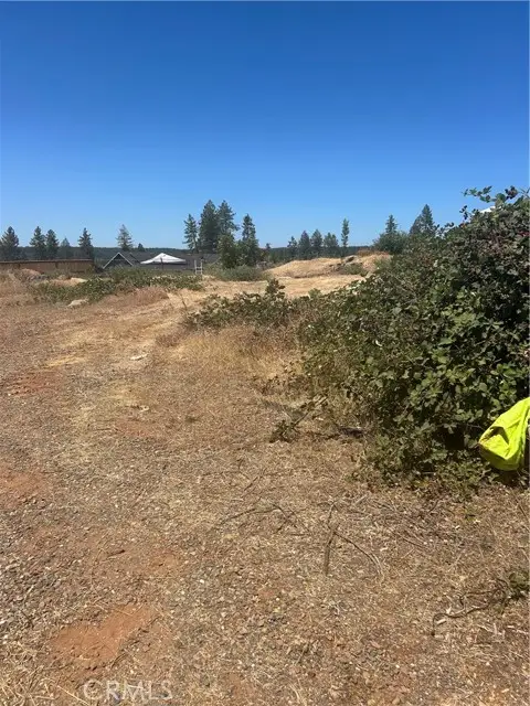 8675 Skyway, Paradise, CA 95969 - #2
