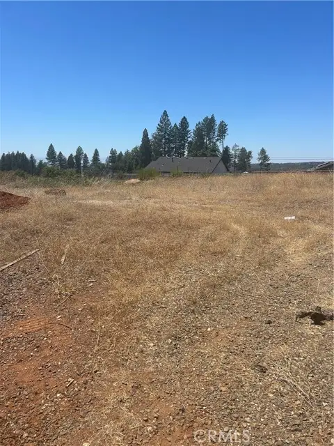 8675 Skyway, Paradise, CA 95969 - #3