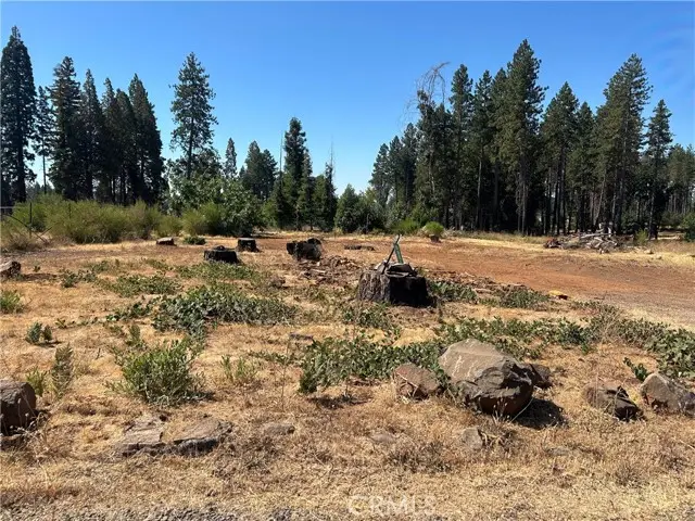 1560 Warren Road, Paradise, CA 95969 - #3