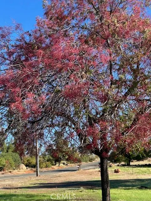 3898 Neal, Paradise, CA 95969