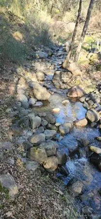 13566 Helltown, Chico, CA 95928