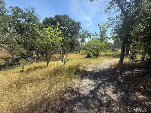 7274 Crazy Horse, Corning, CA 96021