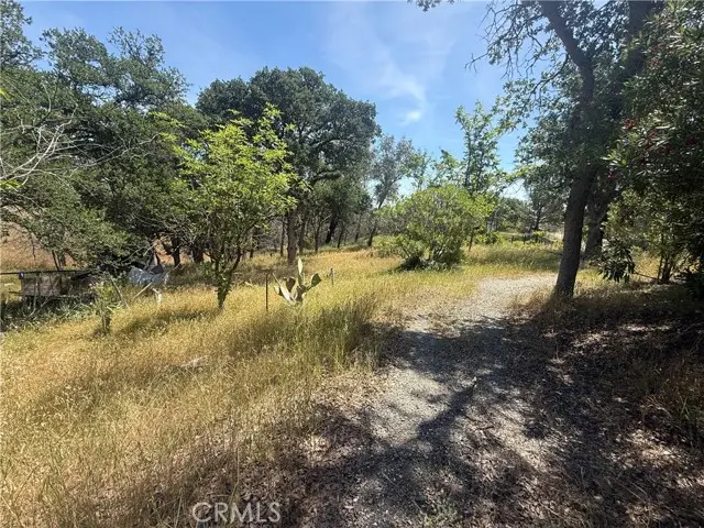 7274 Crazy Horse, Corning, CA 96021 - #3