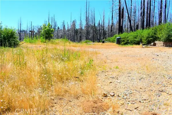 461 Milsap Bar, Berry Creek, CA 95916