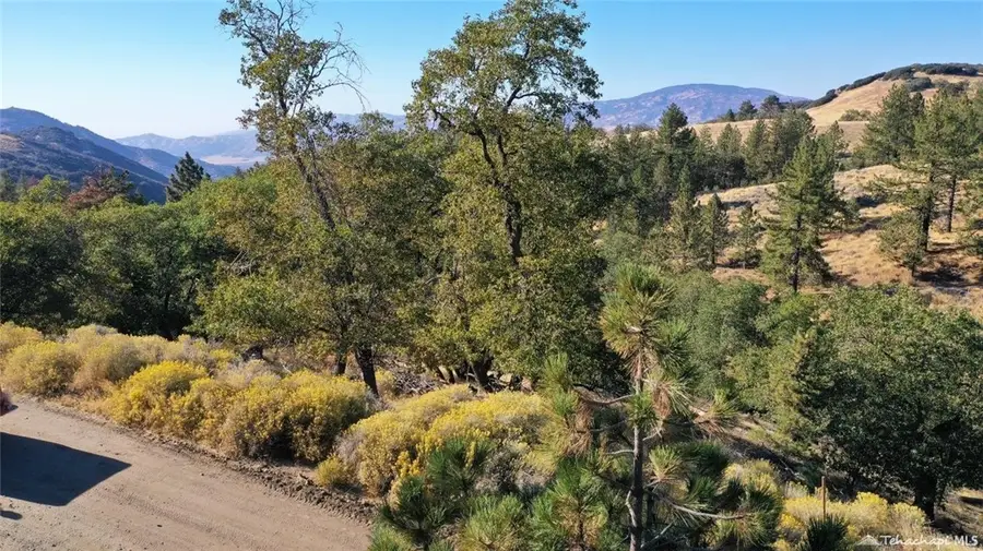 16851 Interlaken Street, Tehachapi, CA 93561 - #2