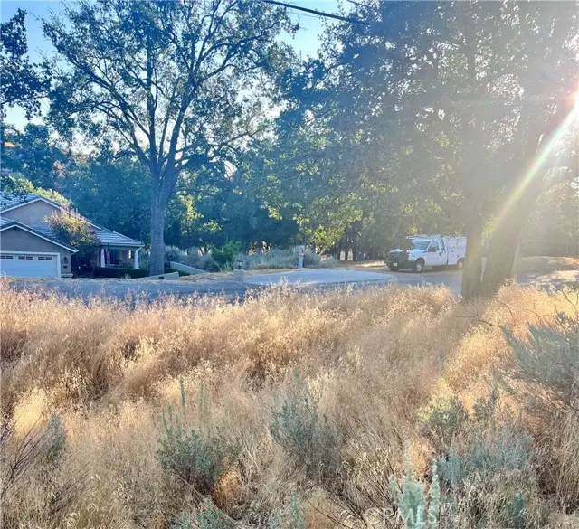 0 Alps Drive, Tehachapi, CA 93561 - #3