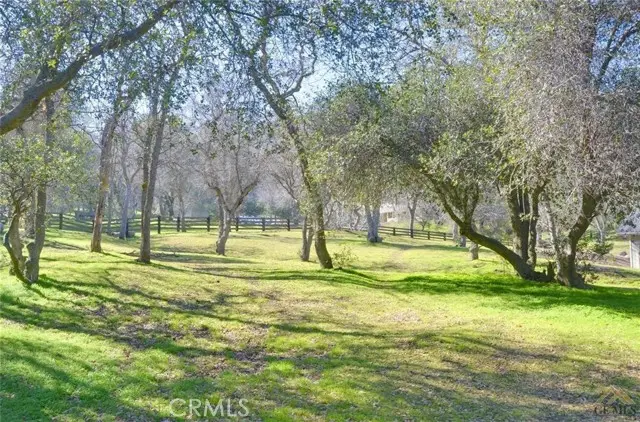 28060 Carlyle Springs Road, Keene, CA 93531 - #3
