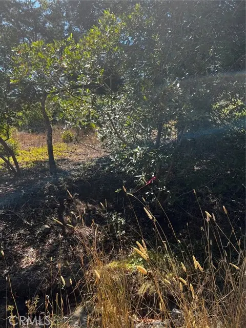 3236 Gleason Street, Cambria, CA 93428 - #1