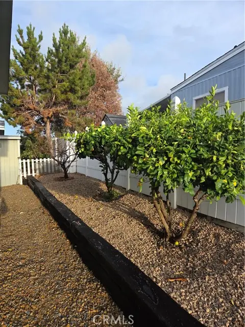 330 hwy 246  #83, Buellton, CA 93427 - #3