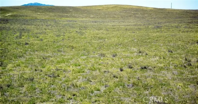 13250 Calipatria Road, Santa Margarita, CA 93453 - #2