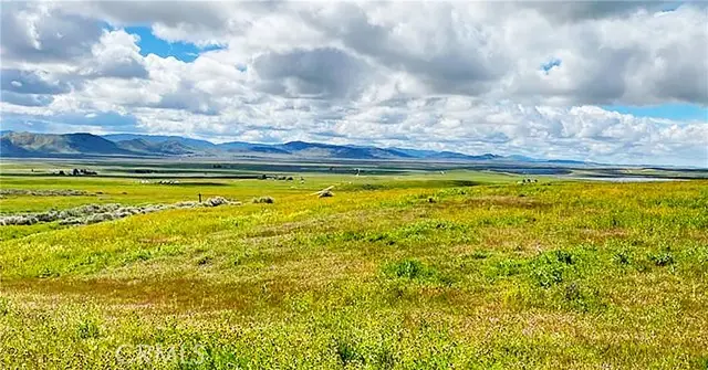 14951 Arlight Trail, Santa Margarita, CA 93453 - #3