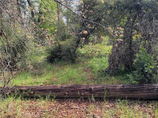 53309 Road 432, Bass Lake, CA 93604 - #3