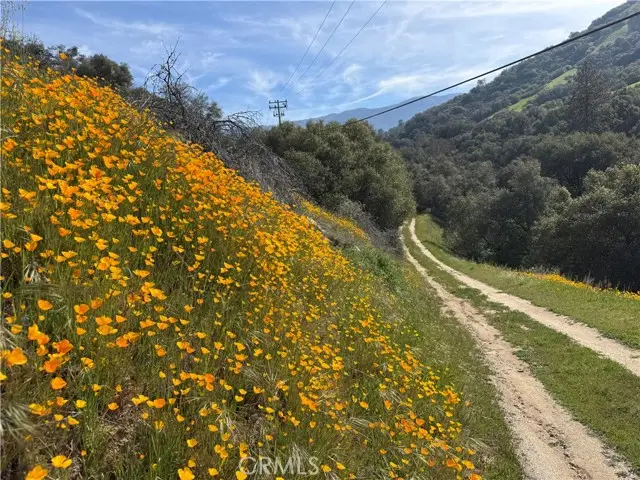41505 A Mountain 56, California Hot Springs, CA 93207 - #3