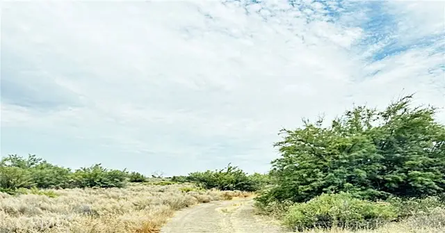 15 Kern River Canal Road, Buttonwillow, CA 93206 - #1