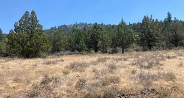 0 Glacier Dr Lot 12, Alturas, CA 96101 - #2