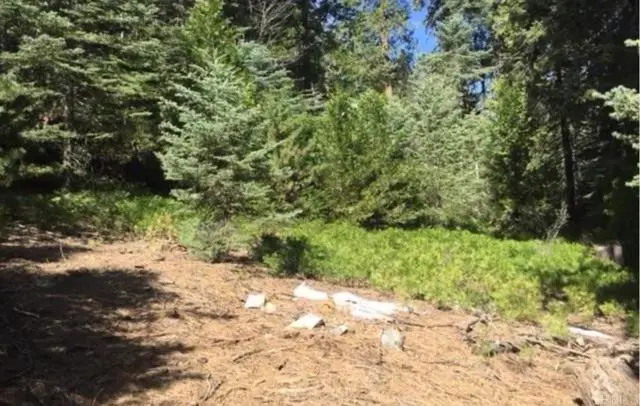 Stonehill Drive, Skyforest, CA 92385 - #2