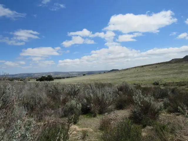 575 Hauser Creek Rd, Campo, CA 91906 - #2