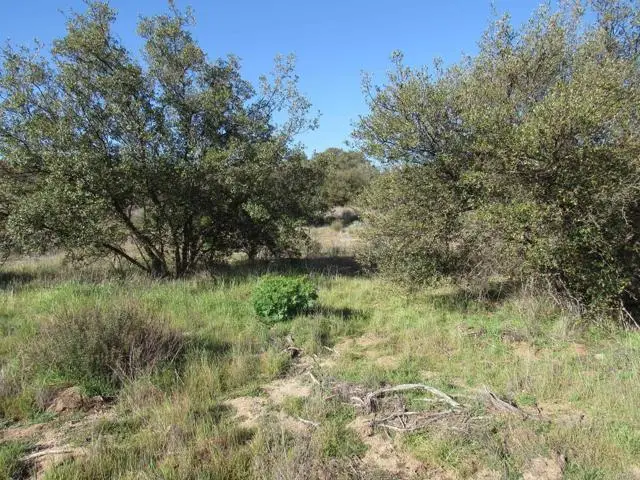 4 Buckman Springs Rd, Campo, CA 91906 - #3