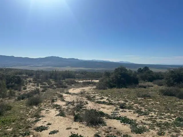 40368 Elm Brush Trail, Anza, CA 92539 - #1