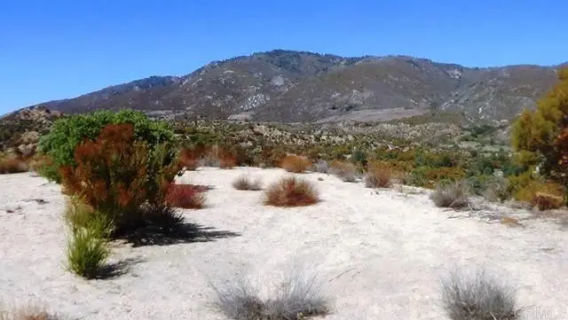 37245 Old Forest Road, Anza, CA 92539 - #3