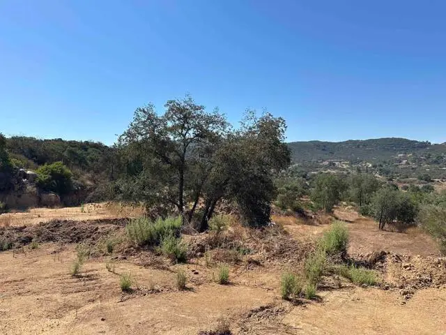 16223 Lawson Valley Road, Jamul, CA 91935 - #1