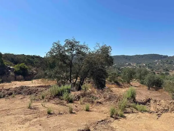 16223 Lawson Valley Road, Jamul, CA 91935