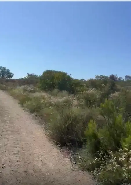Campo Rd, Dulzura, CA 91917 - #2