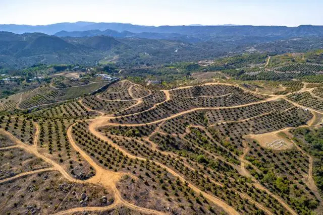 45000 Rancho Fallbrook Road, Temecula, CA 92590 - #2