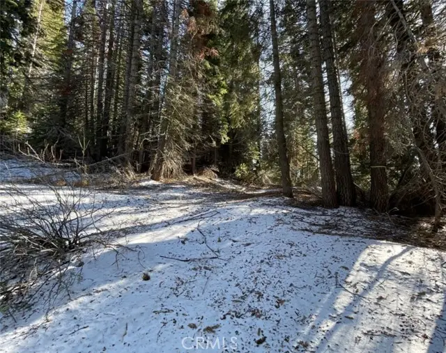 57793 Fawn Drive, Springville, CA 93265 - #1