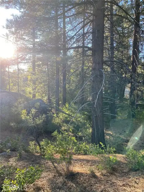 0 Cienega Road, Big Bear Lake, CA 92315 - #1