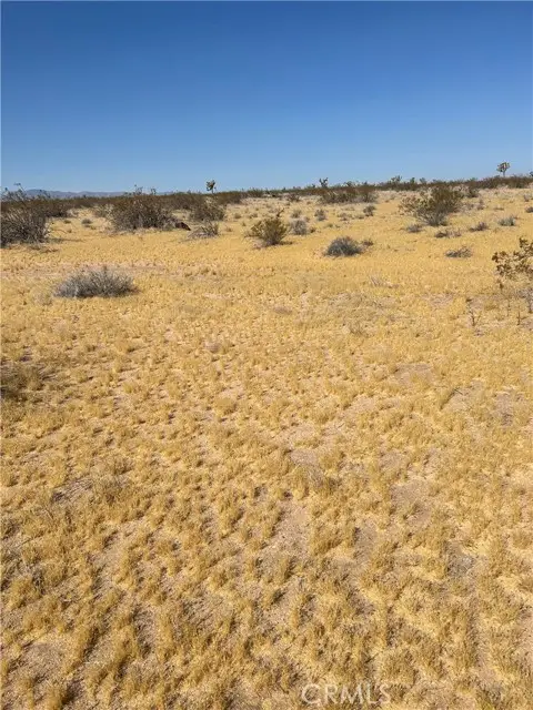 5 Mi N/O Shadow Mt Road, Adelanto, CA 92301 - #1