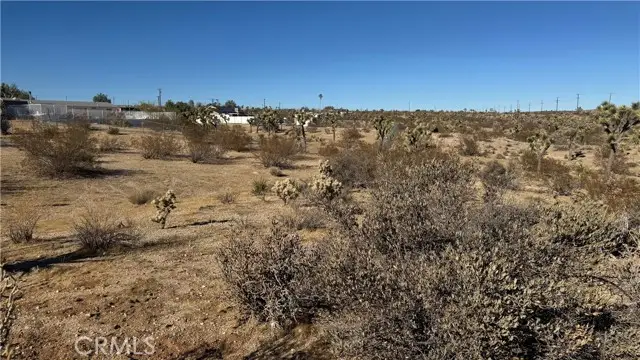 0 Yucca Mess, Yucca Valley, CA 92284 - #2