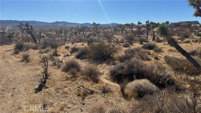 0 Yucca Mess, Yucca Valley, CA 92284 - #3