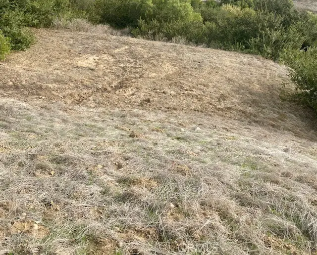 #1