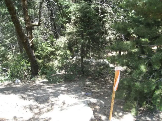 0 Forest Lane, Twin Peaks, CA 92391 - #3