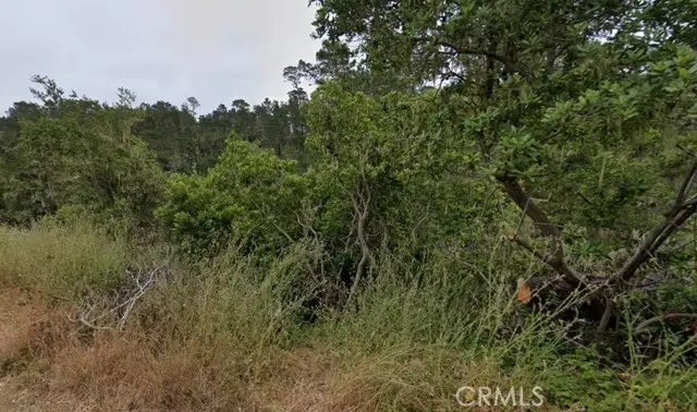 2977 Ramsey Street, Cambria, CA 93428 - #1