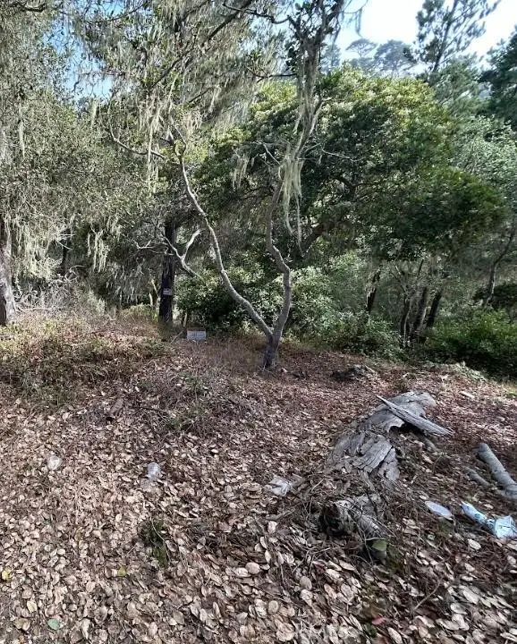 2977 Ramsey Street, Cambria, CA 93428 - #3