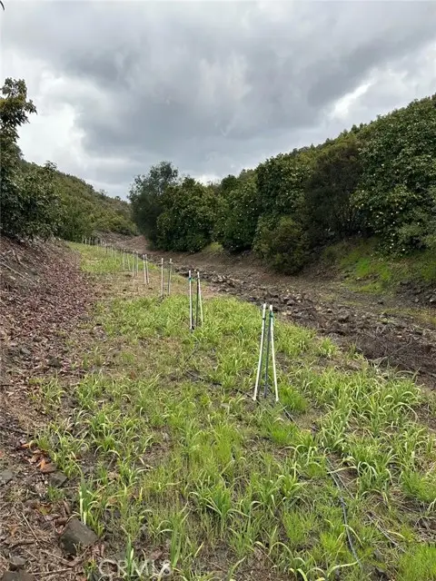 0 Via Barranca, Temecula, CA 92590 - Image #3