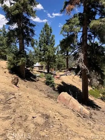 0 Rainbow Lane, Angelus Oaks, CA 92305 - #3