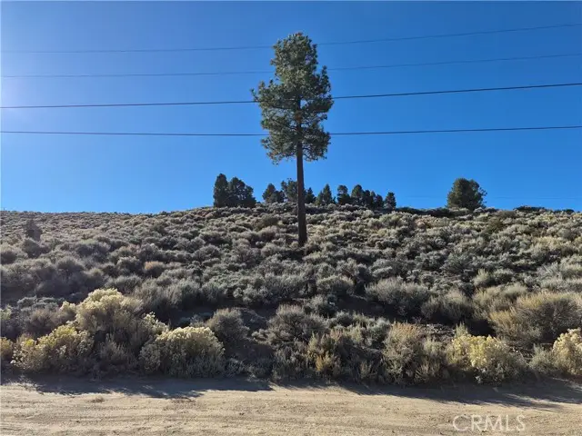 0 Rustic Canyon, Big Bear City, CA 92314 - #1