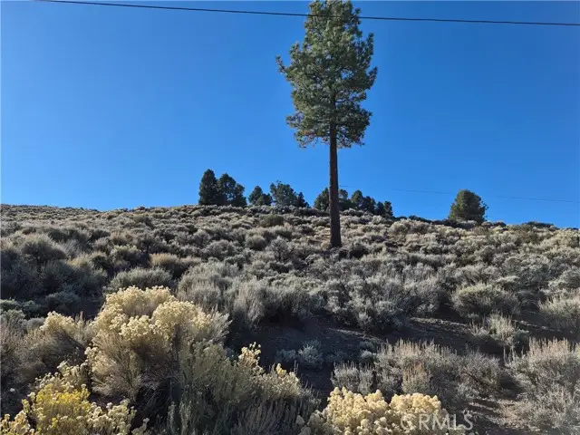 0 Rustic Canyon, Big Bear City, CA 92314 - #2