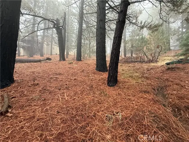 0 Poplar, Running Springs, CA 92382 - #1